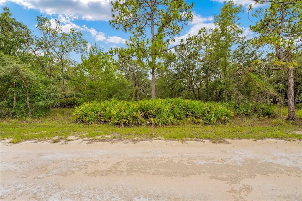 待售: $72,999 (1.06 acres)