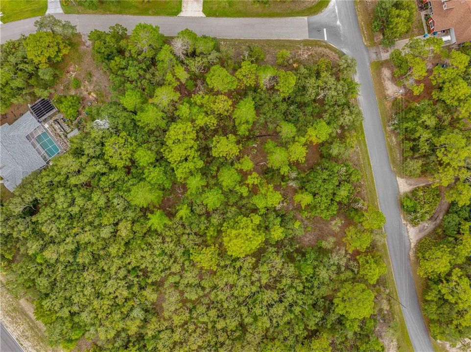 待售: $94,999 (1.01 acres)