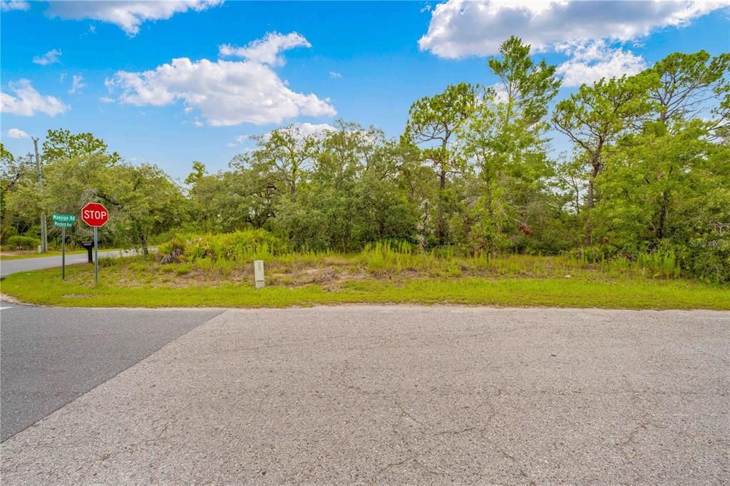 待售: $94,999 (1.01 acres)