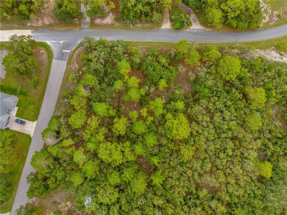 待售: $94,999 (1.01 acres)