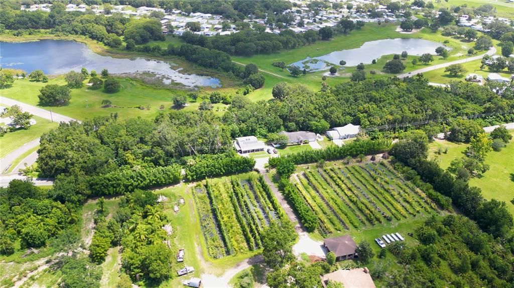 For Sale: $849,990 (6.00 acres)