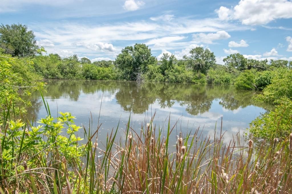 En Venta: $80,000 (0.09 acres)