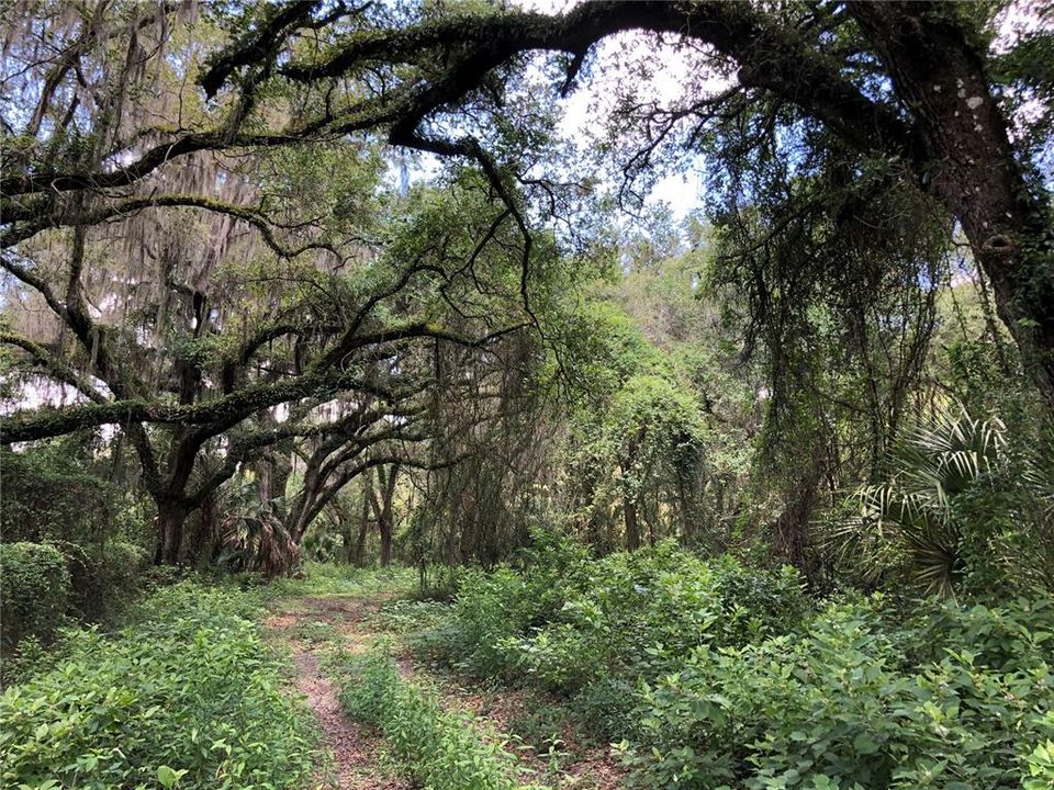 На продажу: $400,000 (11.21 acres)