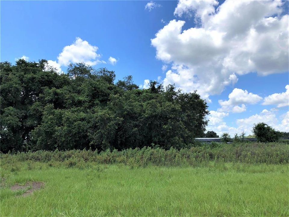 На продажу: $400,000 (11.21 acres)