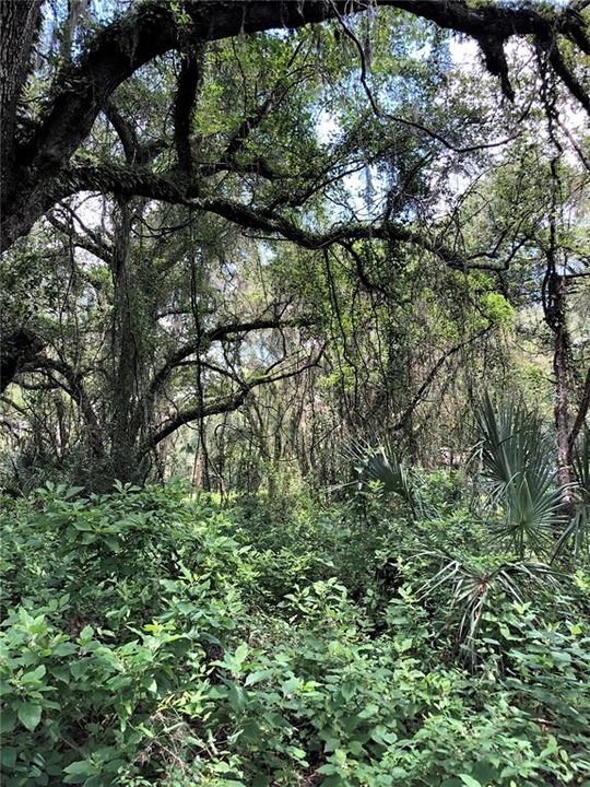 На продажу: $400,000 (11.21 acres)