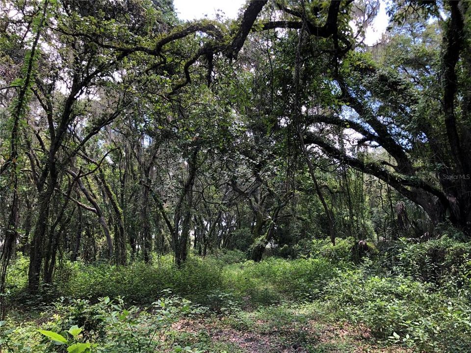 На продажу: $400,000 (11.21 acres)