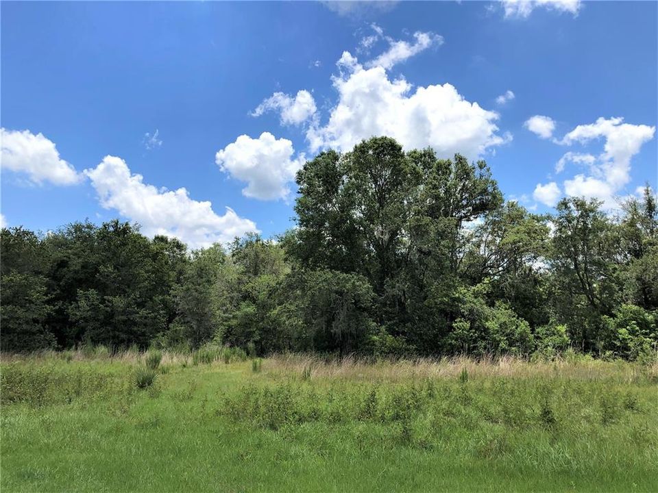 На продажу: $400,000 (11.21 acres)