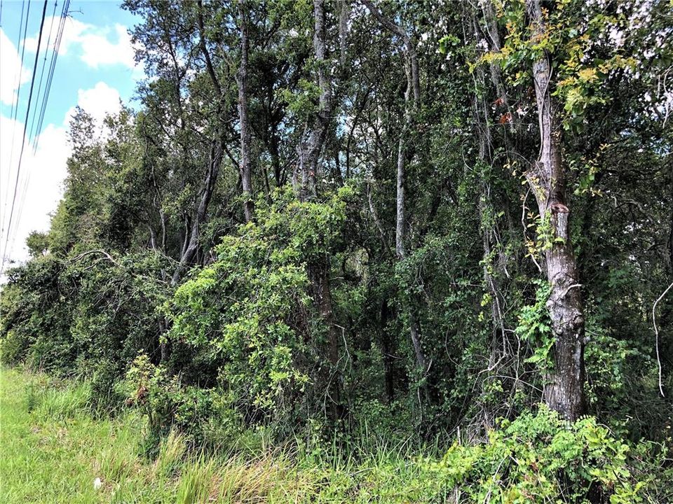 На продажу: $400,000 (11.21 acres)