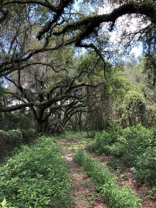 На продажу: $400,000 (11.21 acres)