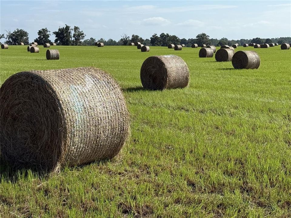 For Sale: $299,000 (21.86 acres)