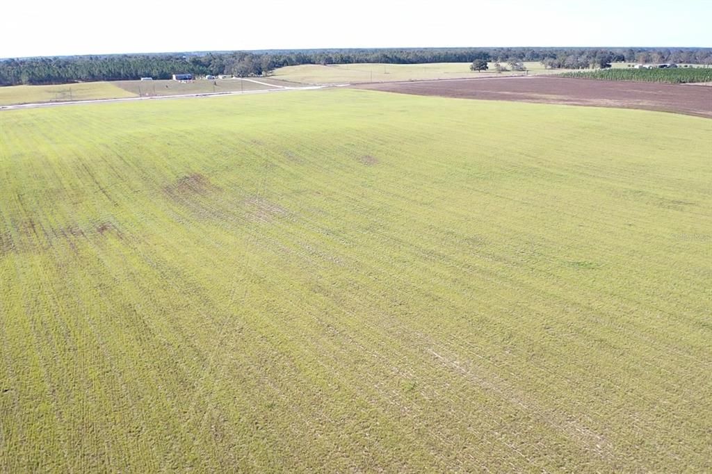 For Sale: $299,000 (21.86 acres)