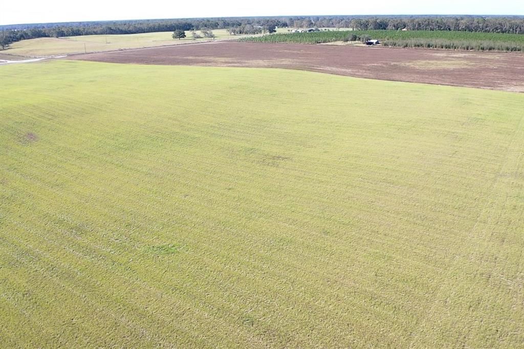 For Sale: $299,000 (21.86 acres)