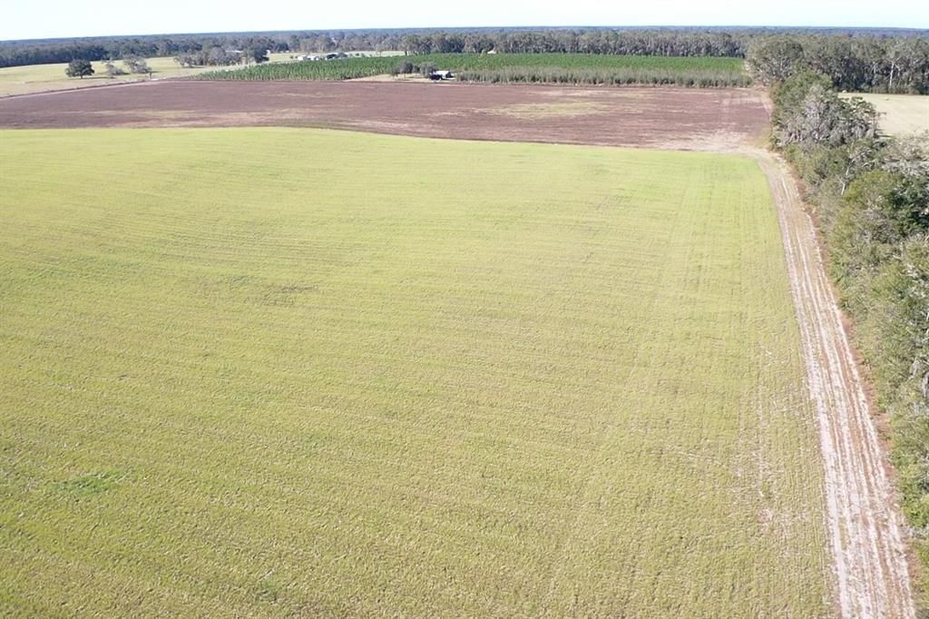 For Sale: $299,000 (21.86 acres)