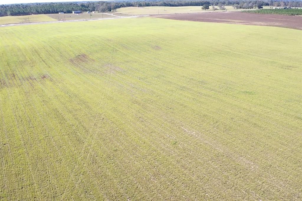 For Sale: $299,000 (21.86 acres)