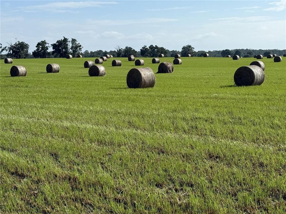 For Sale: $299,000 (21.86 acres)