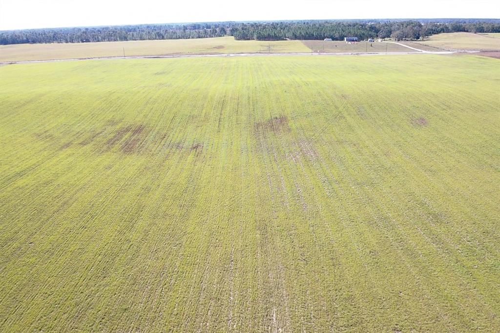 For Sale: $299,000 (21.86 acres)