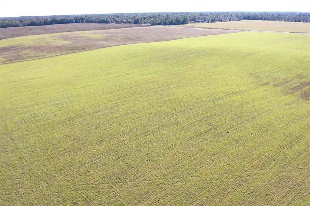 For Sale: $299,000 (21.86 acres)