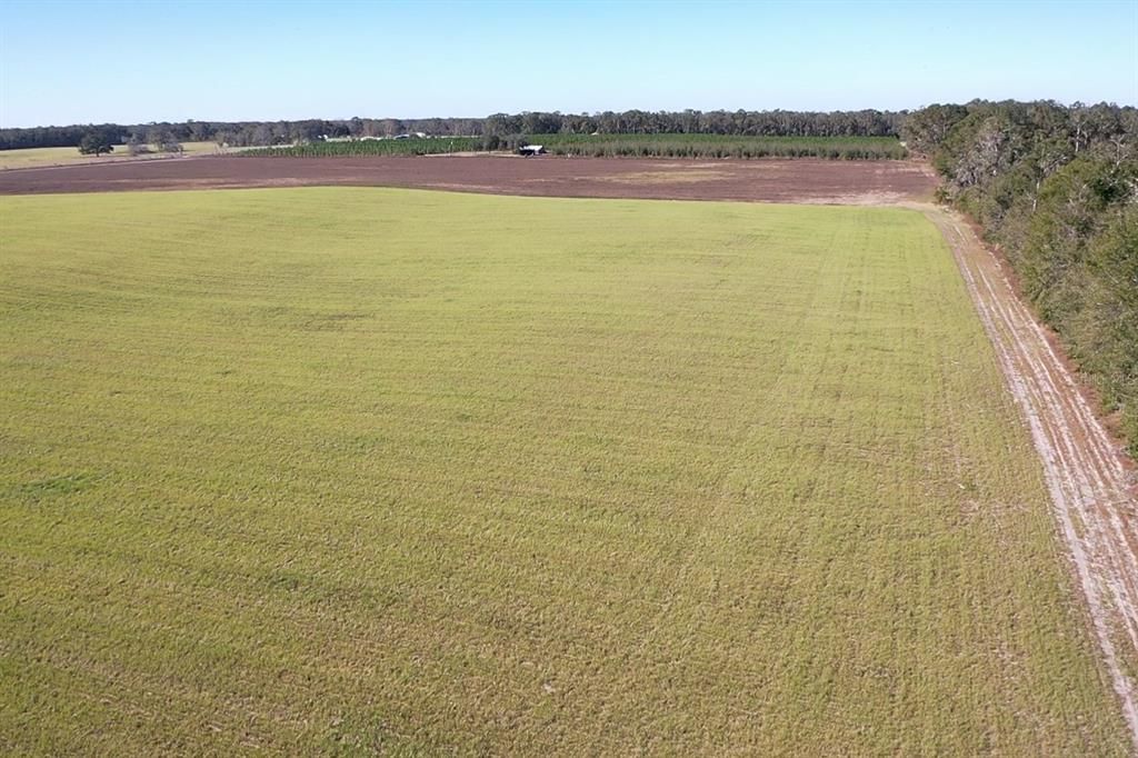 For Sale: $299,000 (21.86 acres)