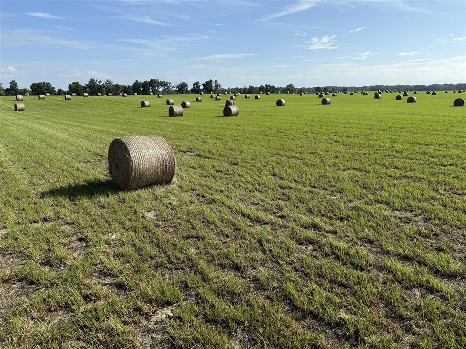 For Sale: $299,000 (21.86 acres)