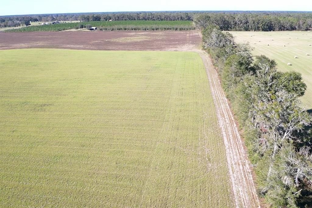 For Sale: $299,000 (21.86 acres)