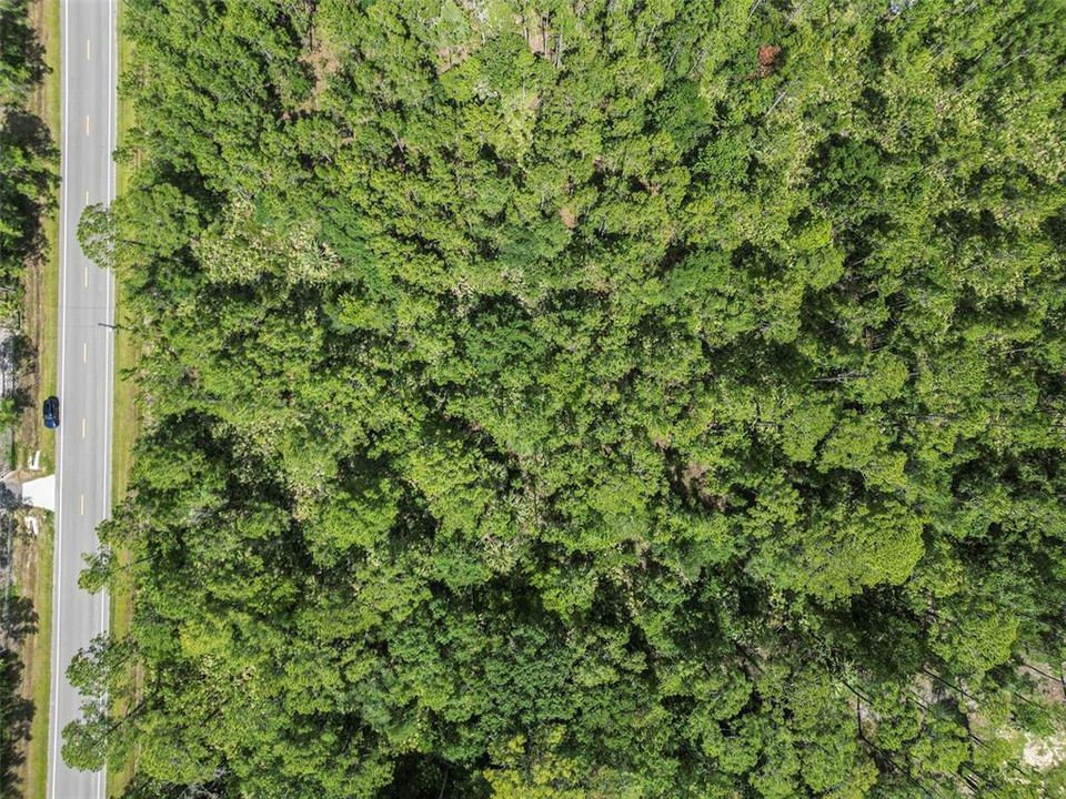 For Sale: $49,900 (1.14 acres)