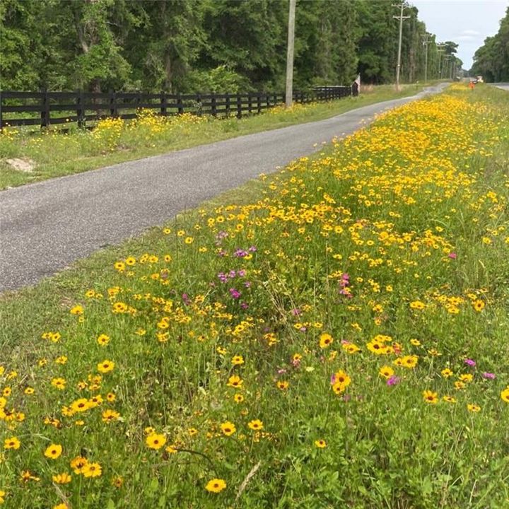 待售: $35,000 (2.50 acres)