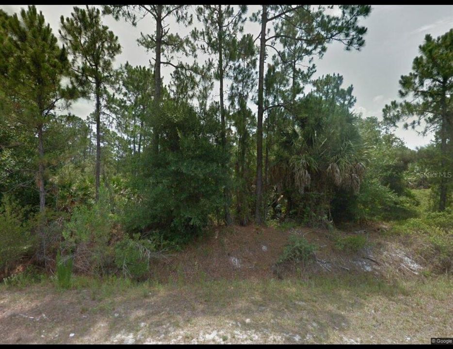 En Venta: $52,000 (1.25 acres)