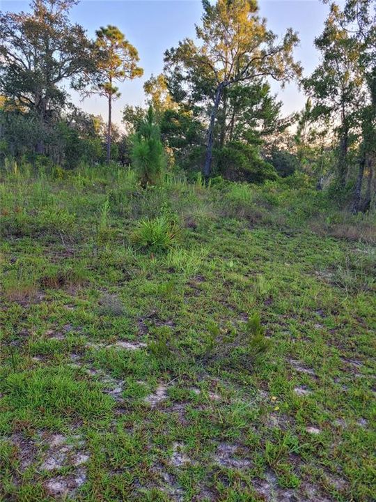 На продажу: $17,900 (0.23 acres)