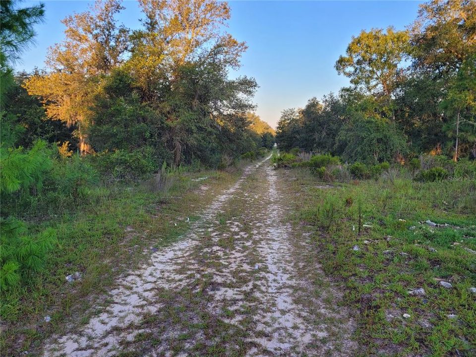 На продажу: $17,900 (0.23 acres)