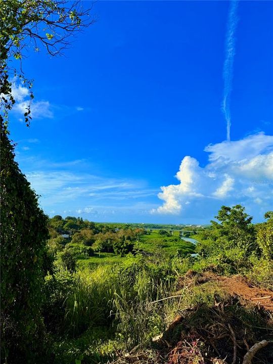 待售: $130,000 (1.17 acres)