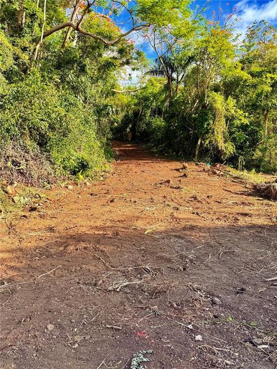 待售: $130,000 (1.17 acres)