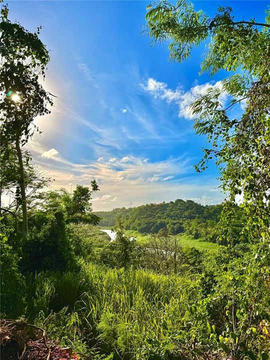 待售: $130,000 (1.17 acres)