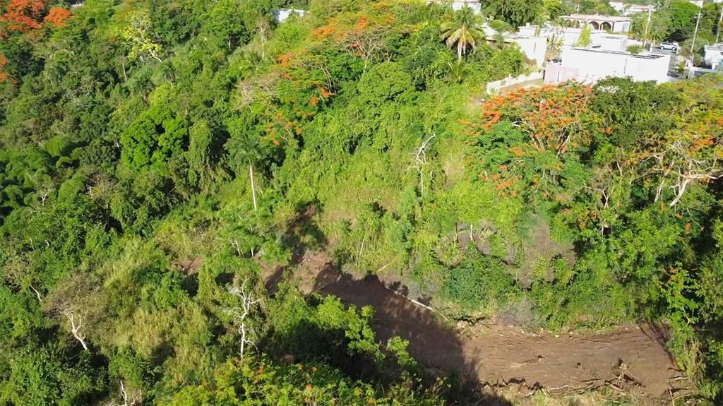 待售: $130,000 (1.17 acres)