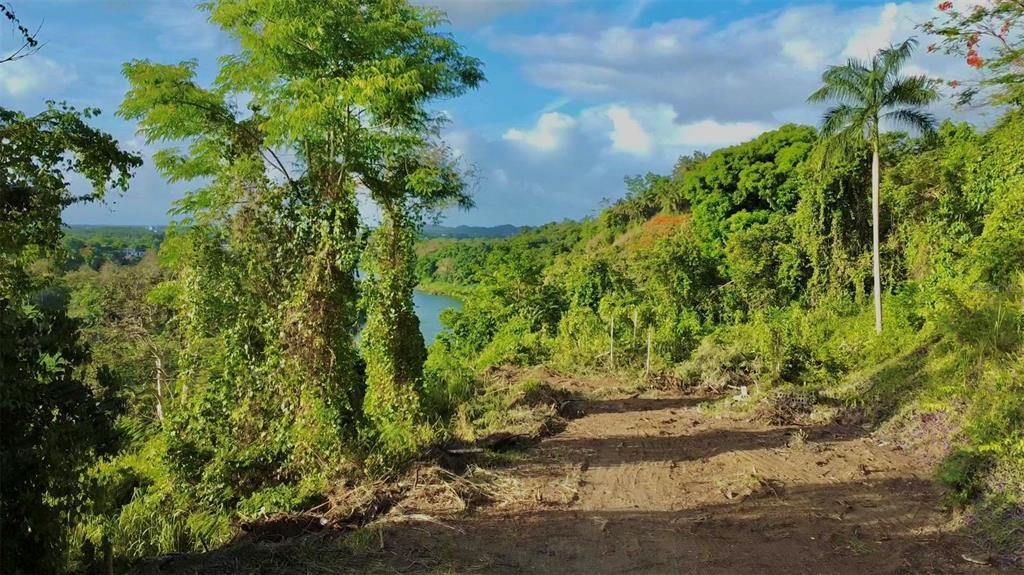 待售: $130,000 (1.17 acres)