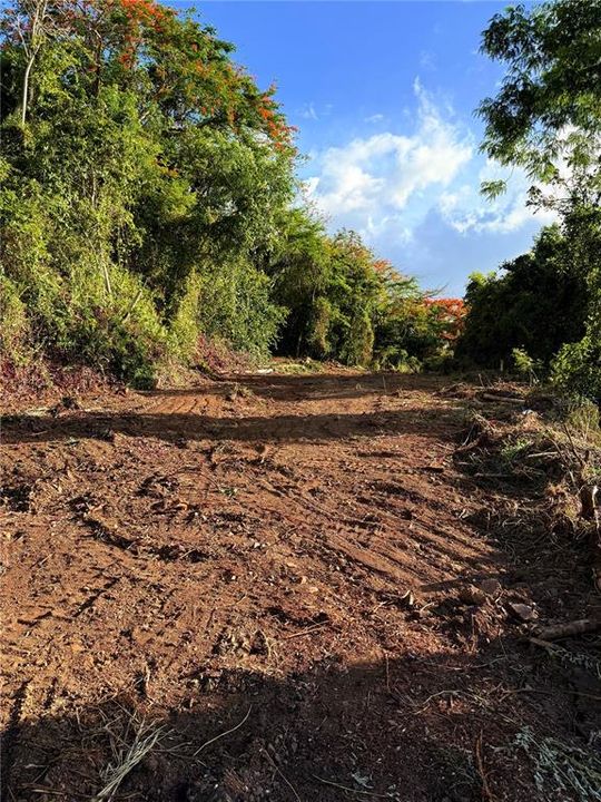 待售: $130,000 (1.17 acres)