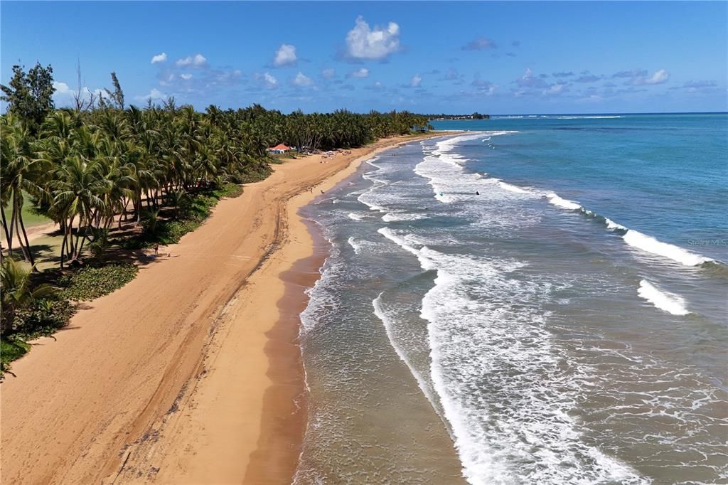 В аренду: $2,600 (2 спален, 1 ванн, 1048 Квадратных фут)