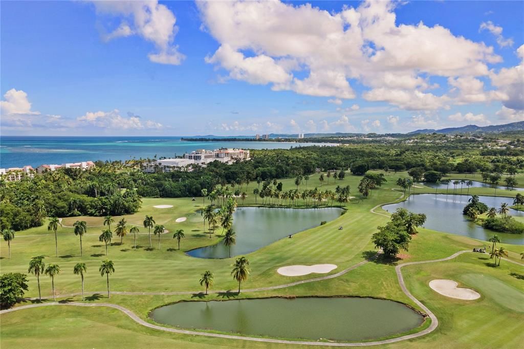 В аренду: $2,600 (2 спален, 1 ванн, 1048 Квадратных фут)