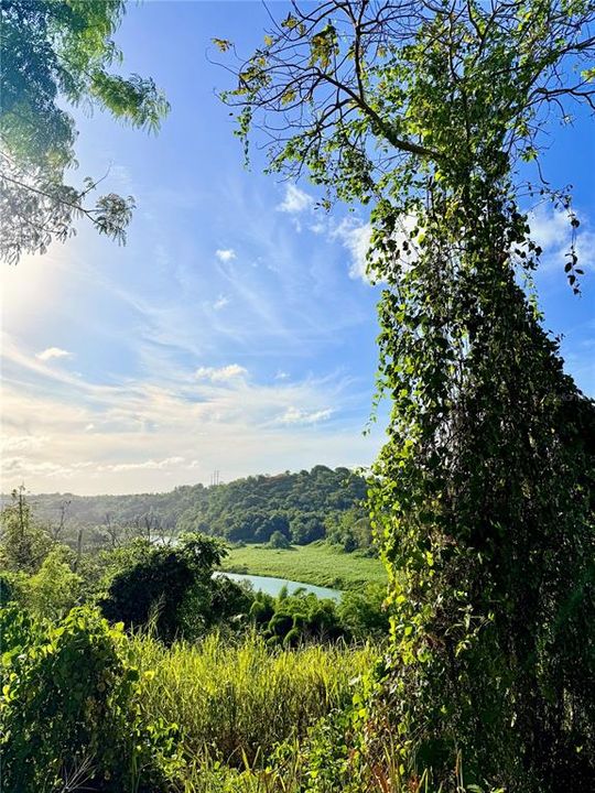 待售: $130,000 (1.35 acres)