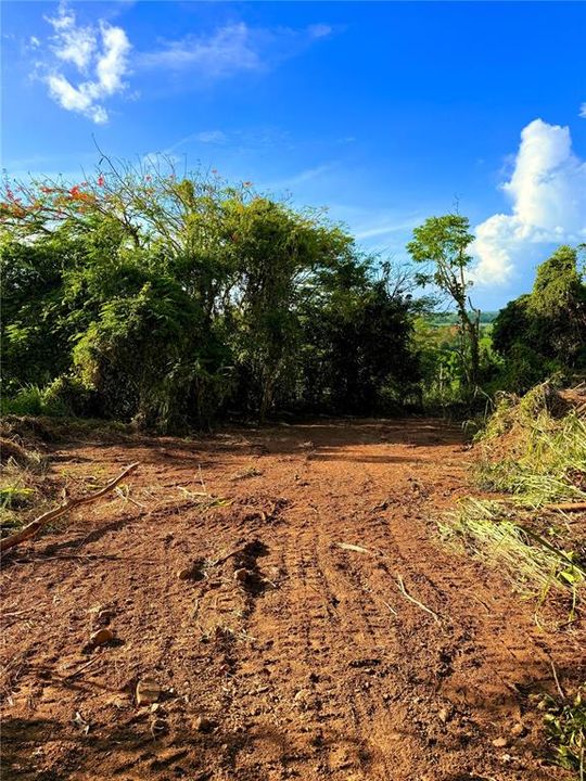 待售: $130,000 (1.35 acres)