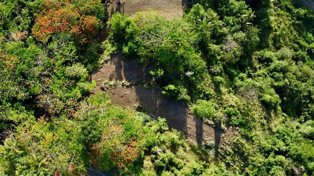 待售: $130,000 (1.35 acres)