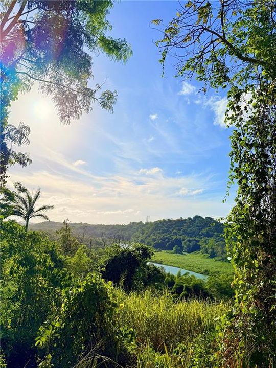 待售: $130,000 (1.35 acres)