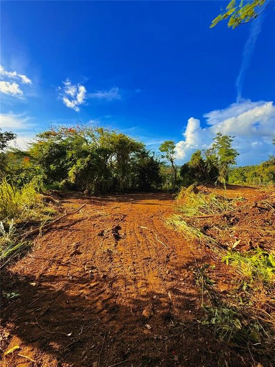 待售: $130,000 (1.35 acres)