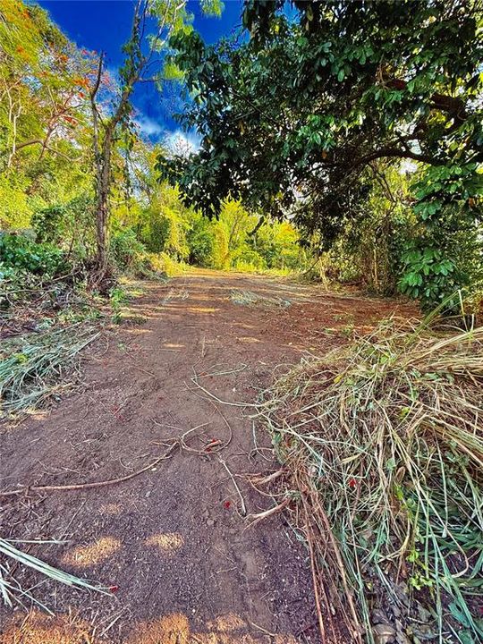 待售: $130,000 (1.35 acres)