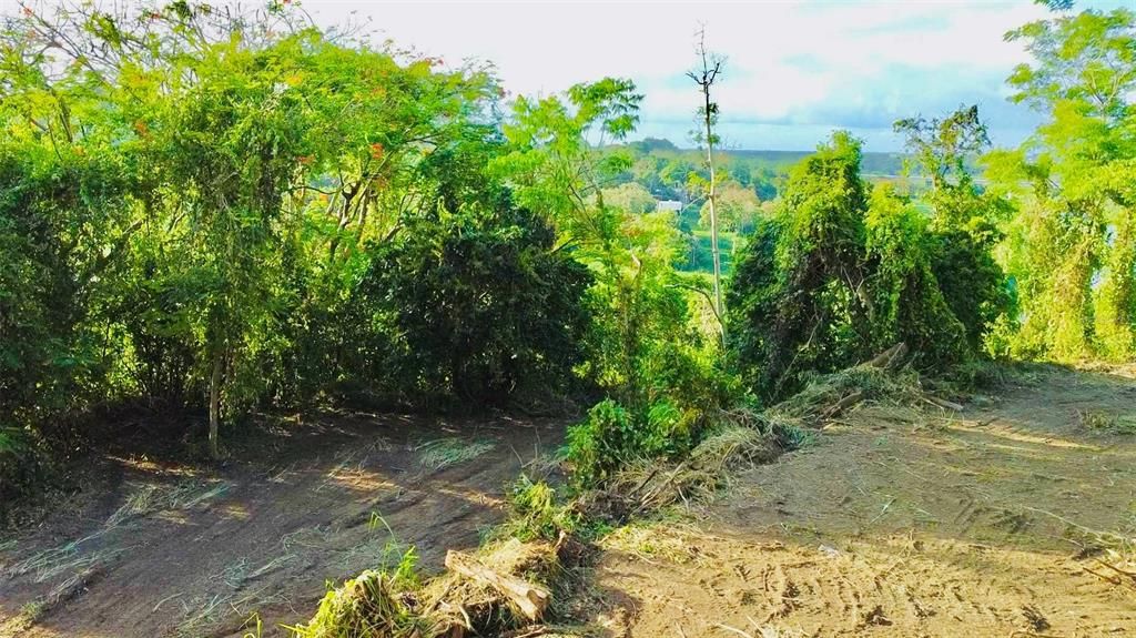 待售: $130,000 (1.35 acres)