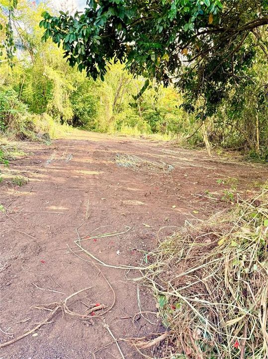 待售: $130,000 (1.35 acres)