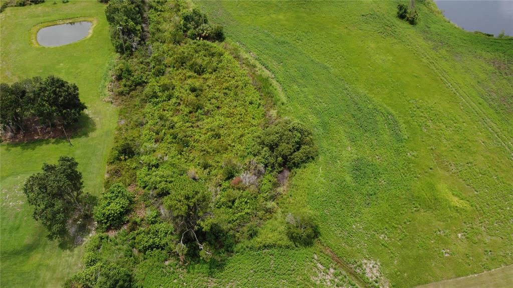 待售: $355,000 (4.46 acres)