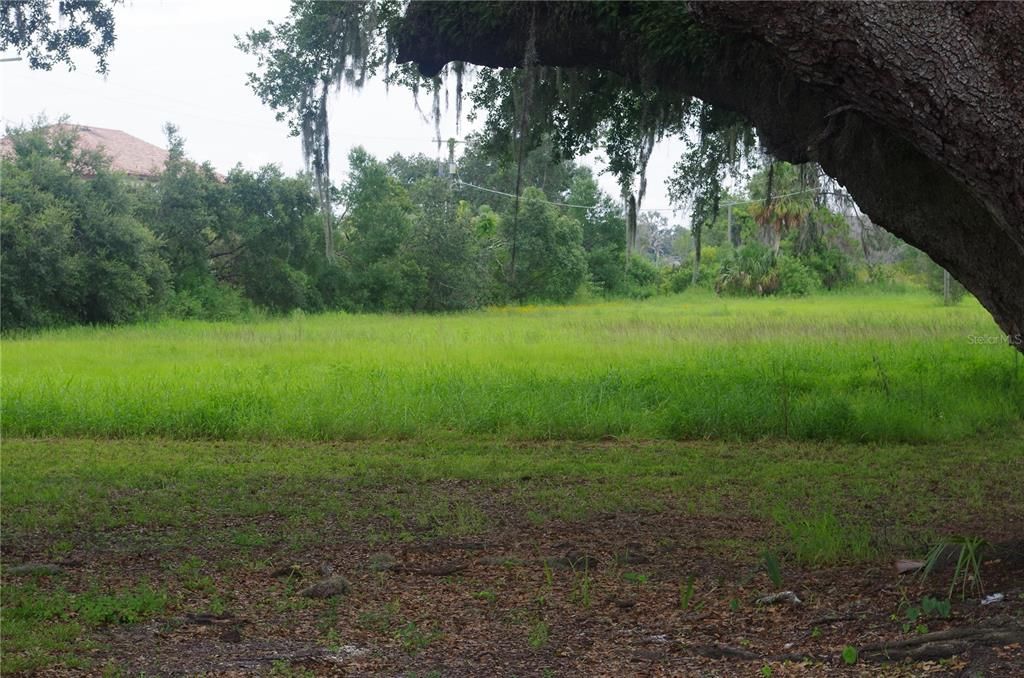 待售: $355,000 (4.46 acres)