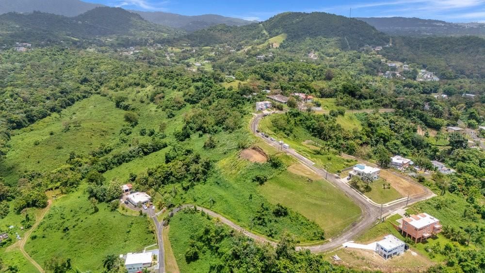 For Sale: $47,000 (0.25 acres)