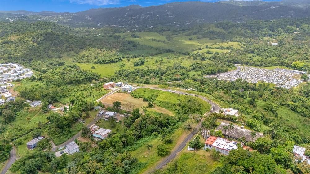 For Sale: $47,000 (0.25 acres)