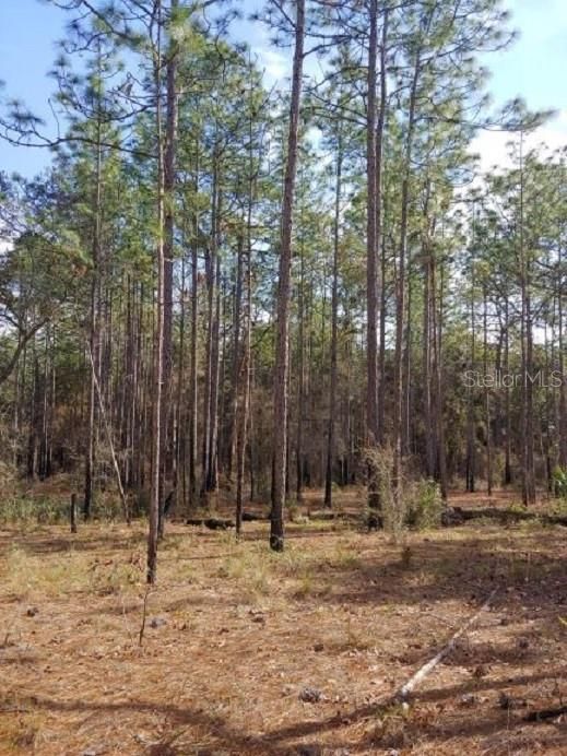 待售: $3,655,860 (283.40 acres)